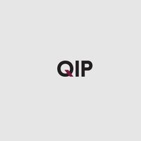 Q Investment Partners