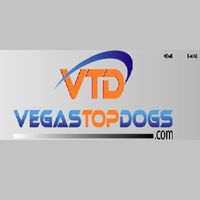 vegasgroup